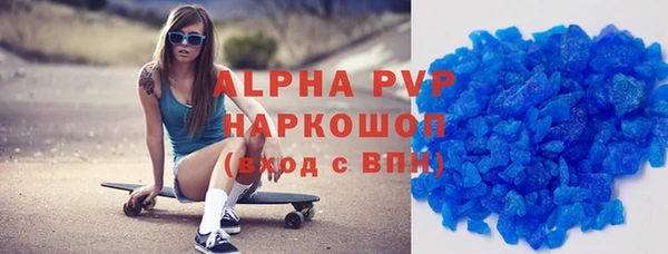 индика Горняк