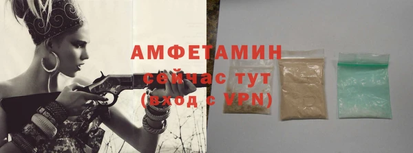 индика Горняк