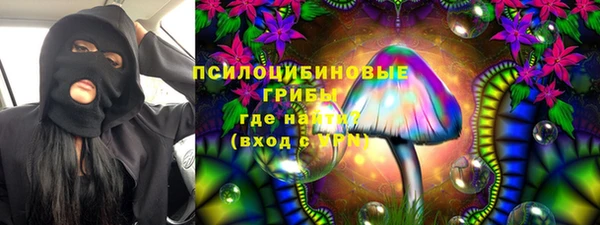 индика Горняк