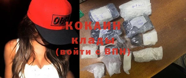 индика Горняк