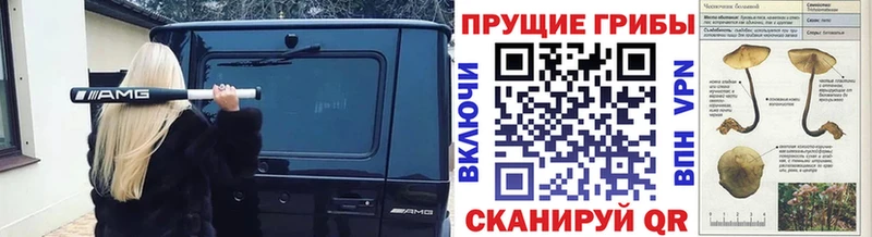 Галлюциногенные грибы мухоморы  Купить закладки  Котельниково 